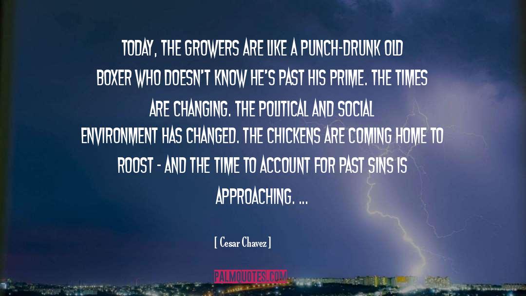 Past Times quotes by Cesar Chavez