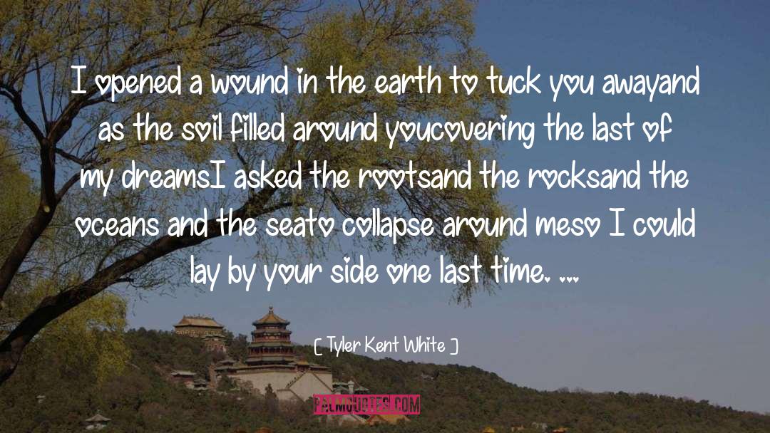 Past Wound quotes by Tyler Kent White