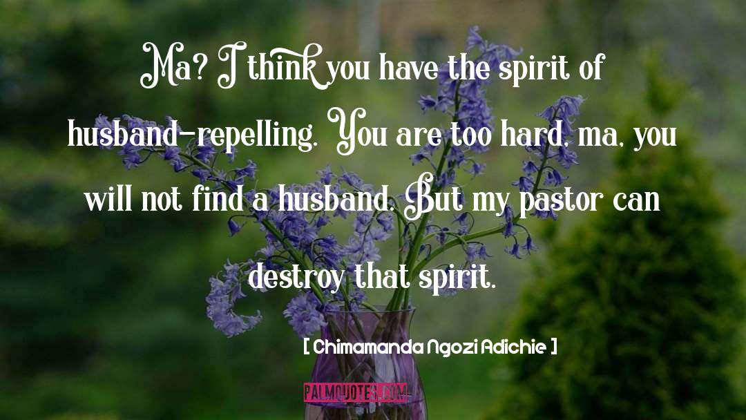 Pastor quotes by Chimamanda Ngozi Adichie