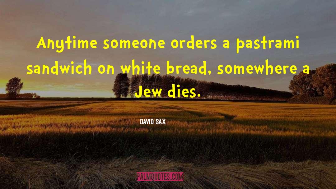 Pastrami quotes by David Sax