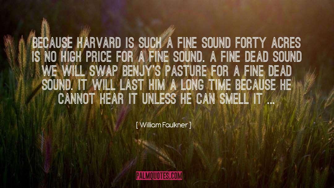 Pasture quotes by William Faulkner