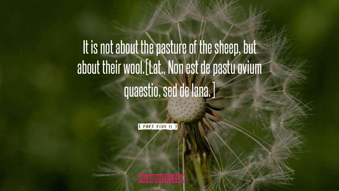 Pasture quotes by Pope Pius II