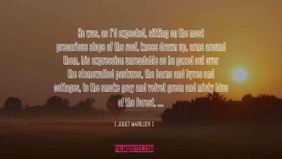 Pastures quotes by Juliet Marillier