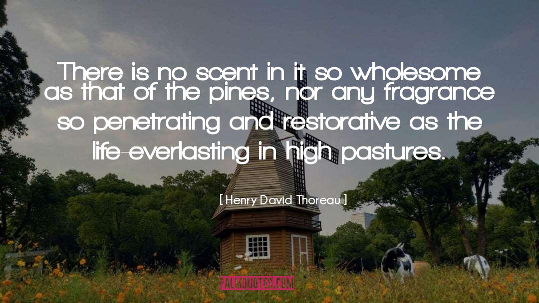 Pastures quotes by Henry David Thoreau