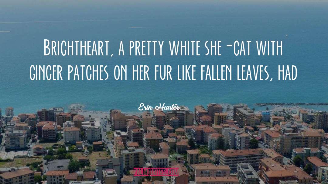 Patches quotes by Erin Hunter