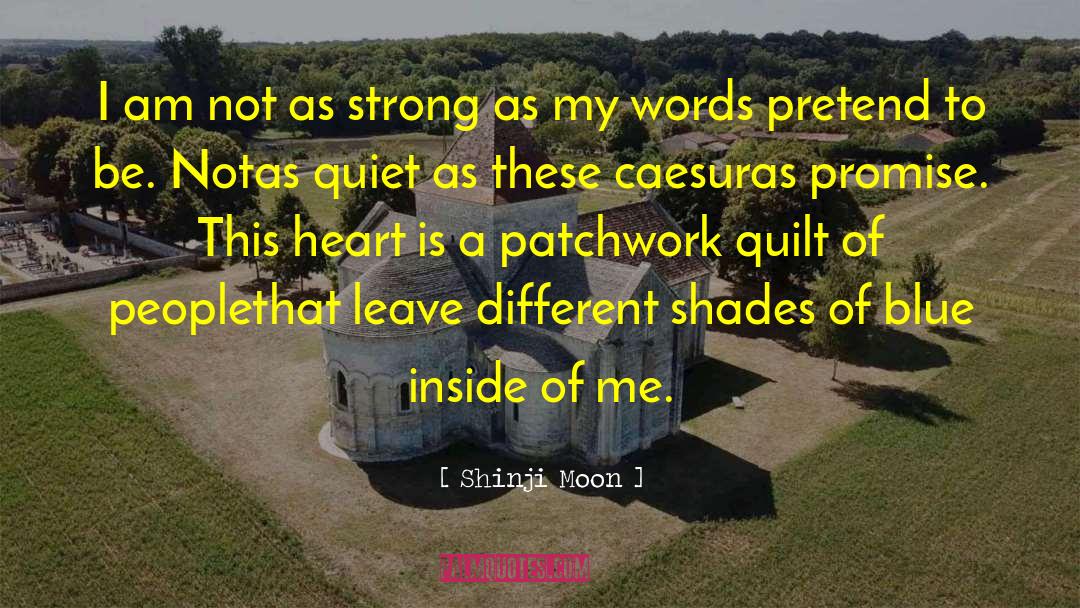 Patchwork Quilt quotes by Shinji Moon