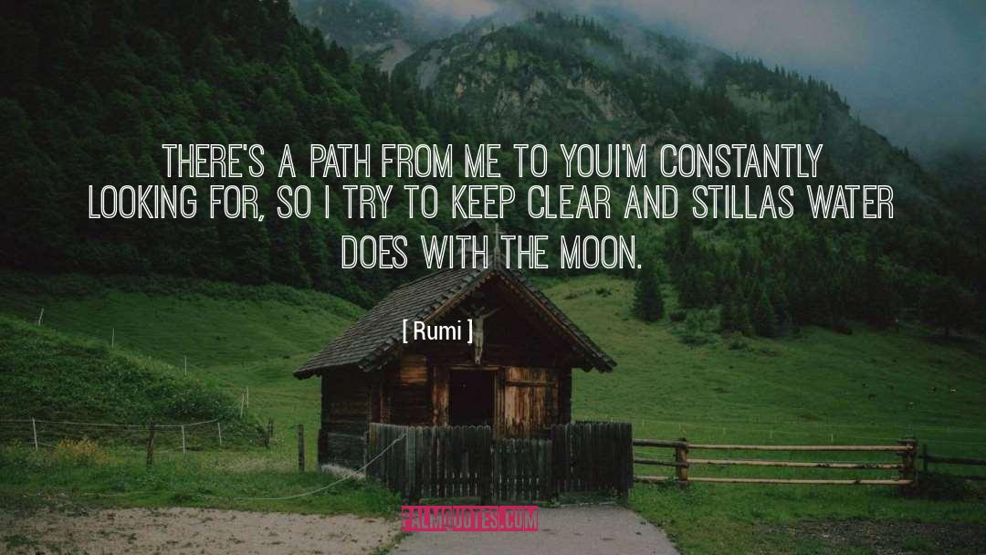 Path Of Life quotes by Rumi