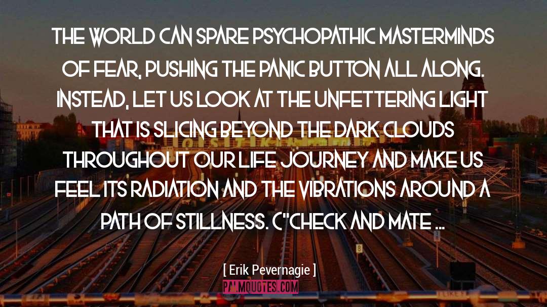 Path Of Stillness quotes by Erik Pevernagie