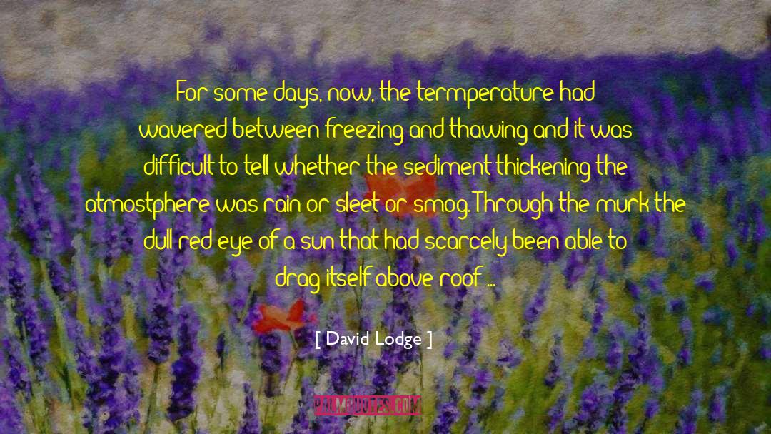 Pathetic Fallacy quotes by David Lodge