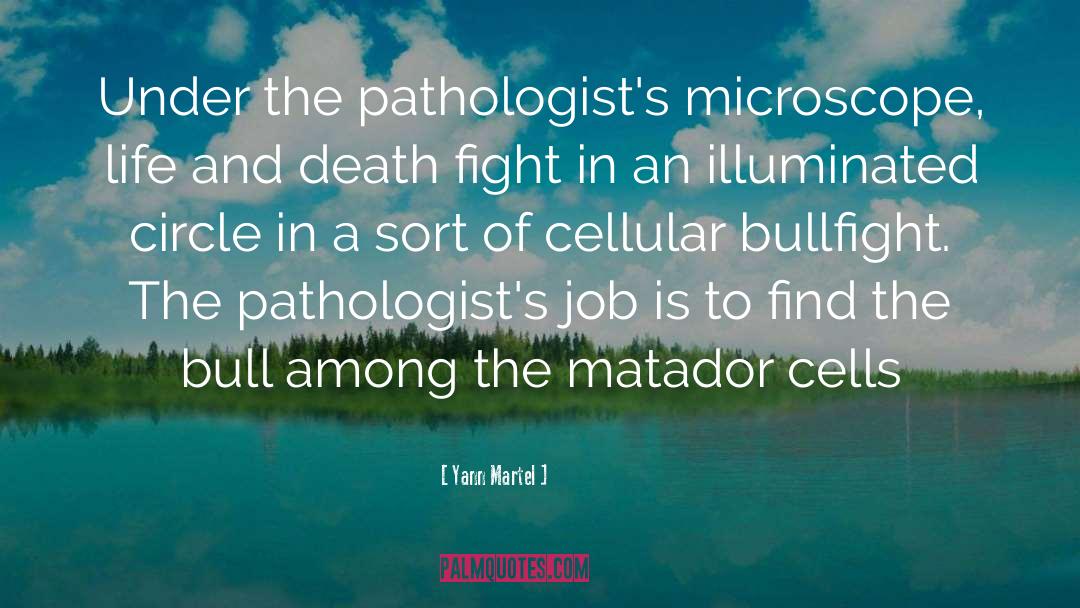 Pathologist quotes by Yann Martel