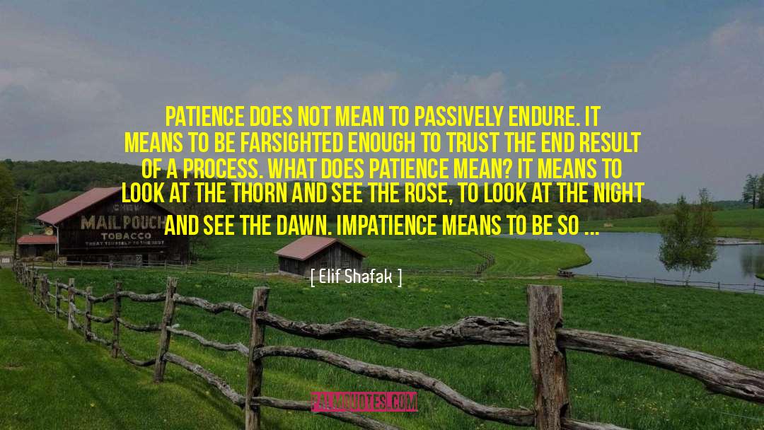 Patience And Love quotes by Elif Shafak