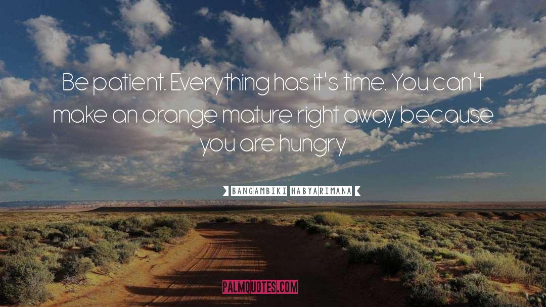 Patience And Timing quotes by Bangambiki Habyarimana