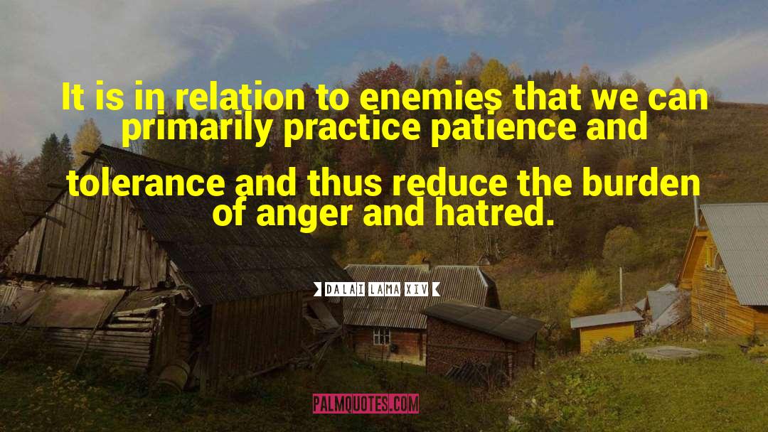 Patience And Tolerance quotes by Dalai Lama XIV