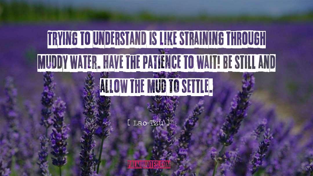 Patience And Tolerance quotes by Lao-Tzu