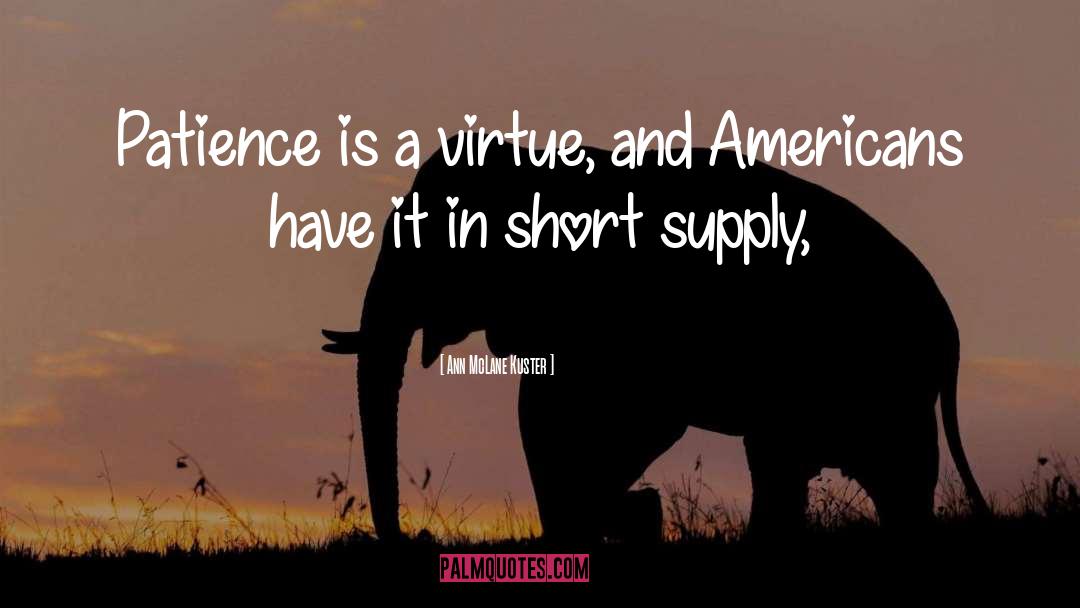 Patience Is A Virtue quotes by Ann McLane Kuster