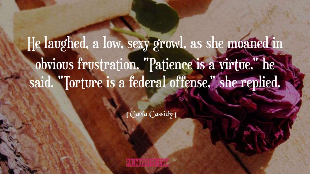 Patience Is A Virtue quotes by Carla Cassidy