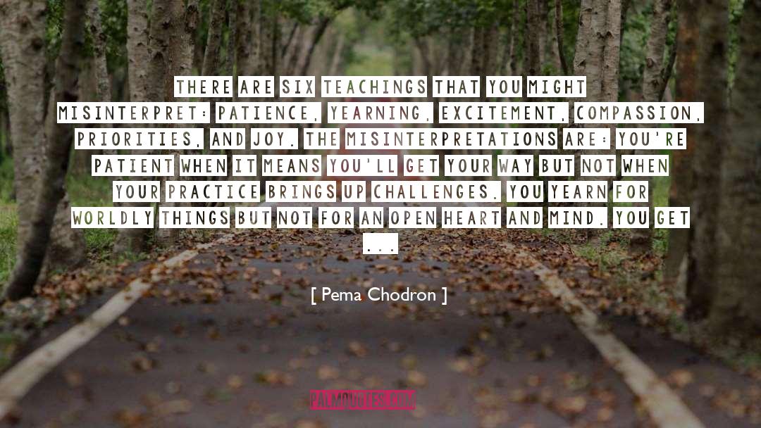 Patience Kindness quotes by Pema Chodron