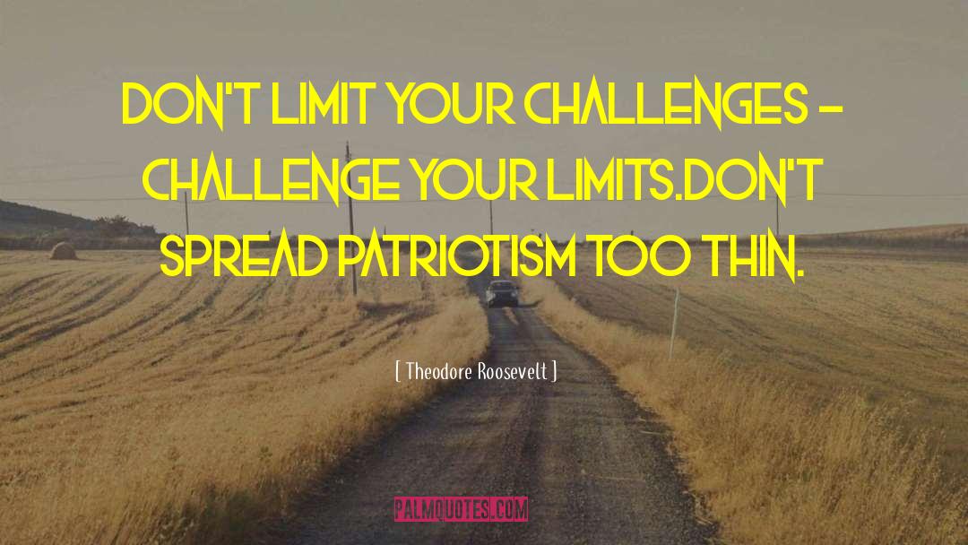 Patience Limit quotes by Theodore Roosevelt