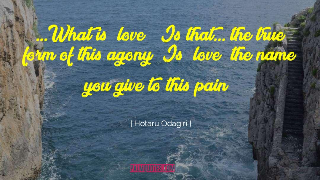 Patient Love quotes by Hotaru Odagiri