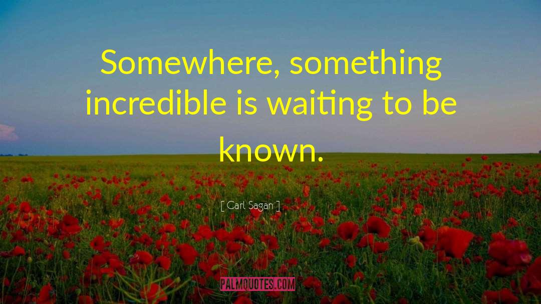 Patiently Waiting quotes by Carl Sagan