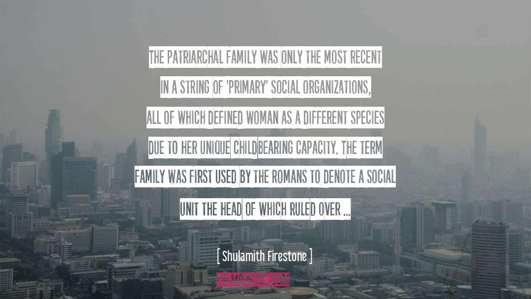 Patriarchal Paradigm quotes by Shulamith Firestone