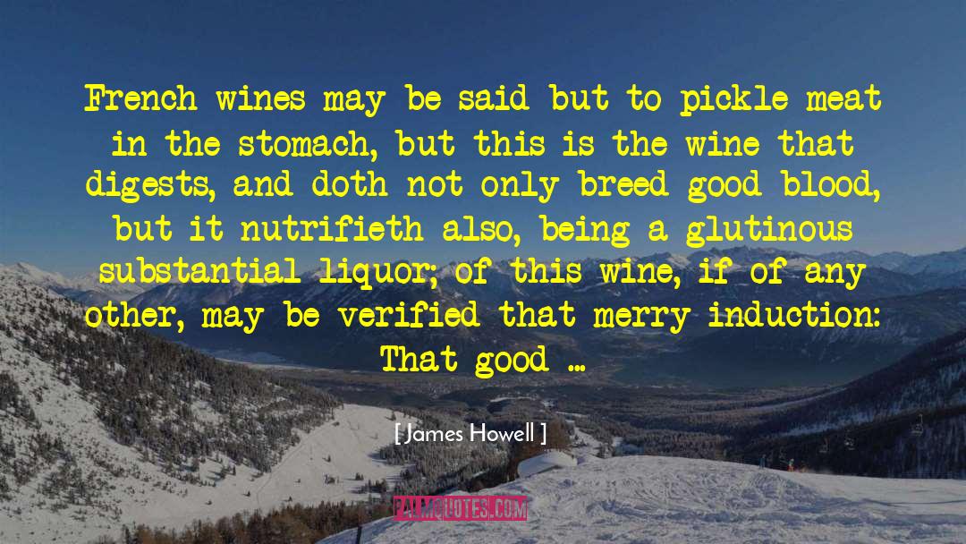 Patricius Wines quotes by James Howell
