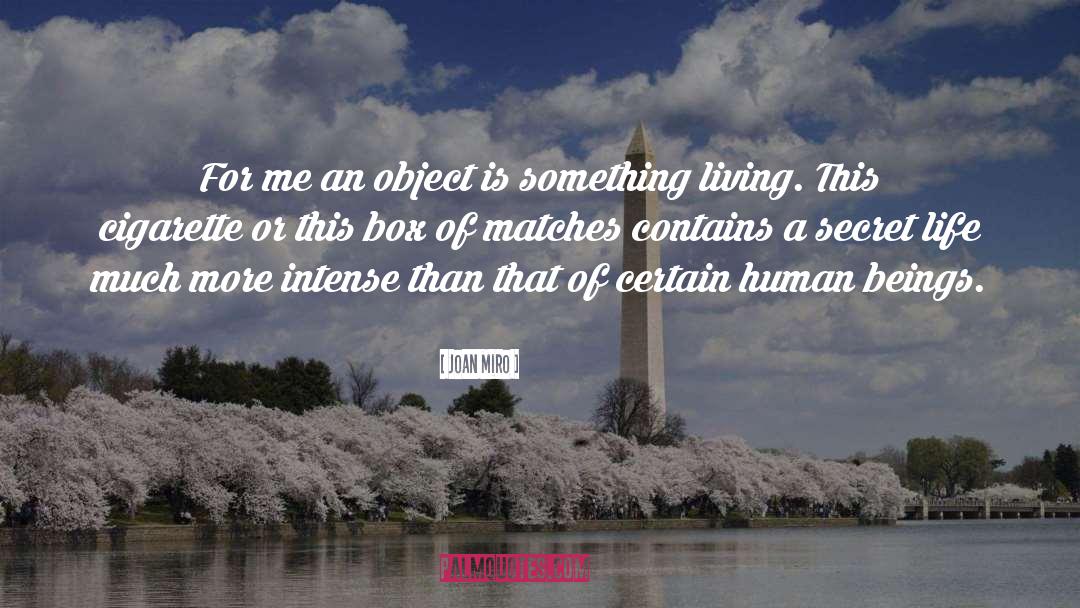 Patricks Secret Box quotes by Joan Miro