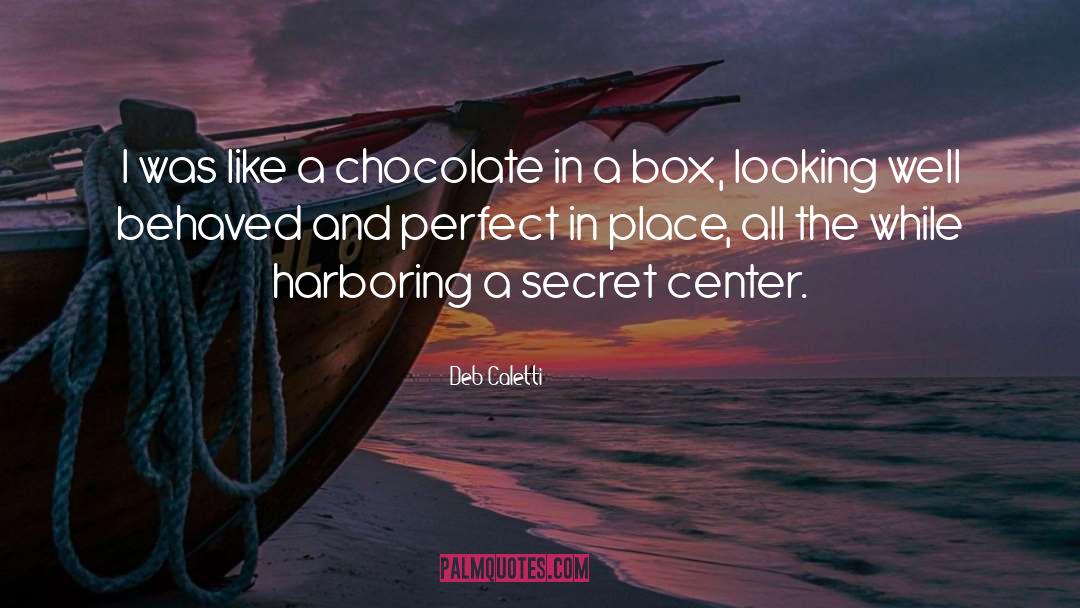 Patricks Secret Box quotes by Deb Caletti