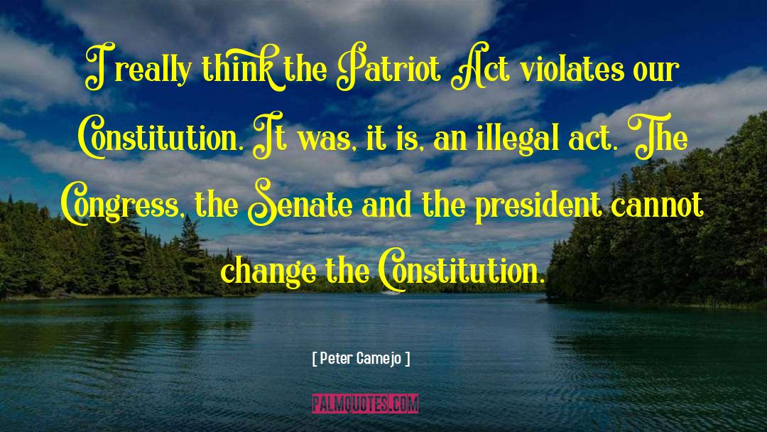 Patriot Act quotes by Peter Camejo
