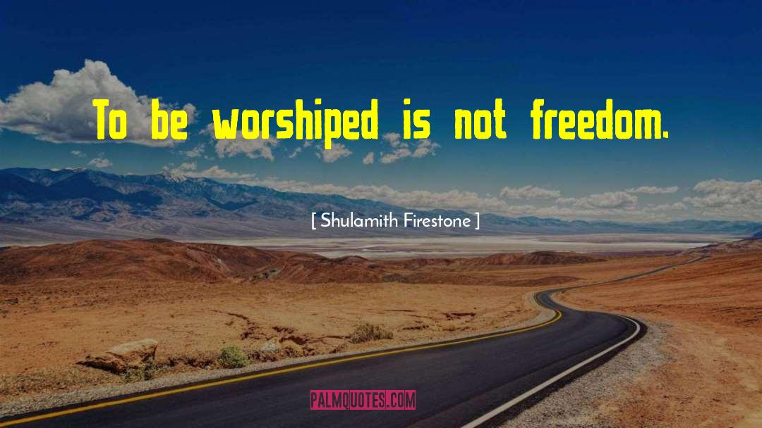Patriotic Freedom quotes by Shulamith Firestone