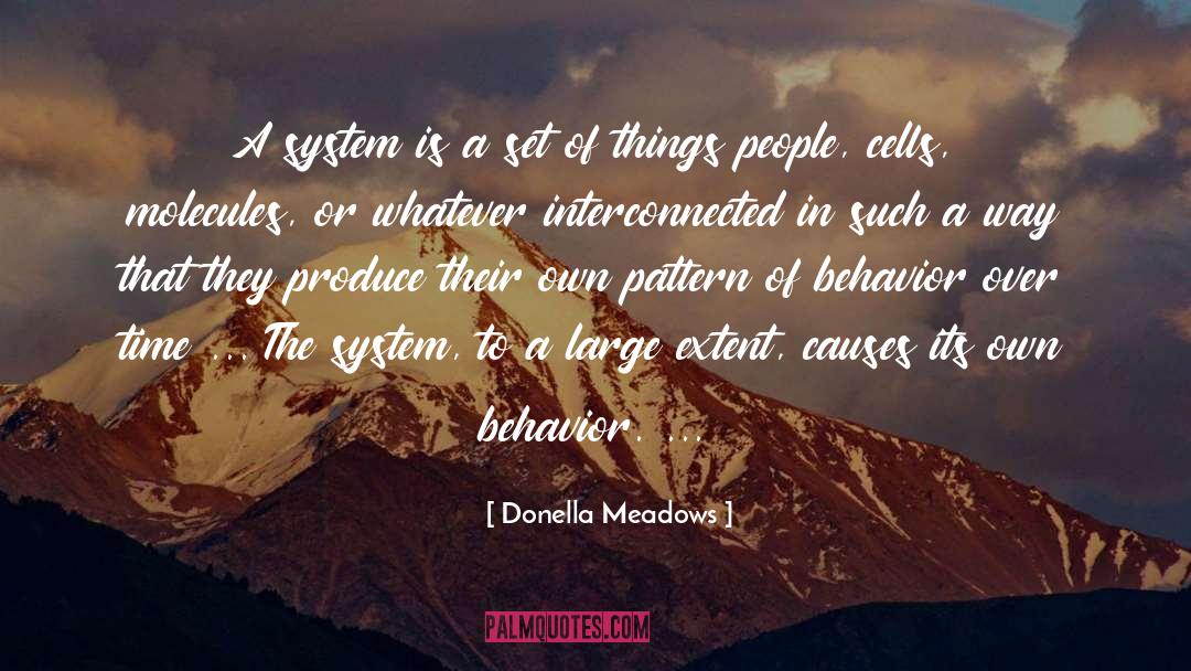 Pattern Of Behavior quotes by Donella Meadows