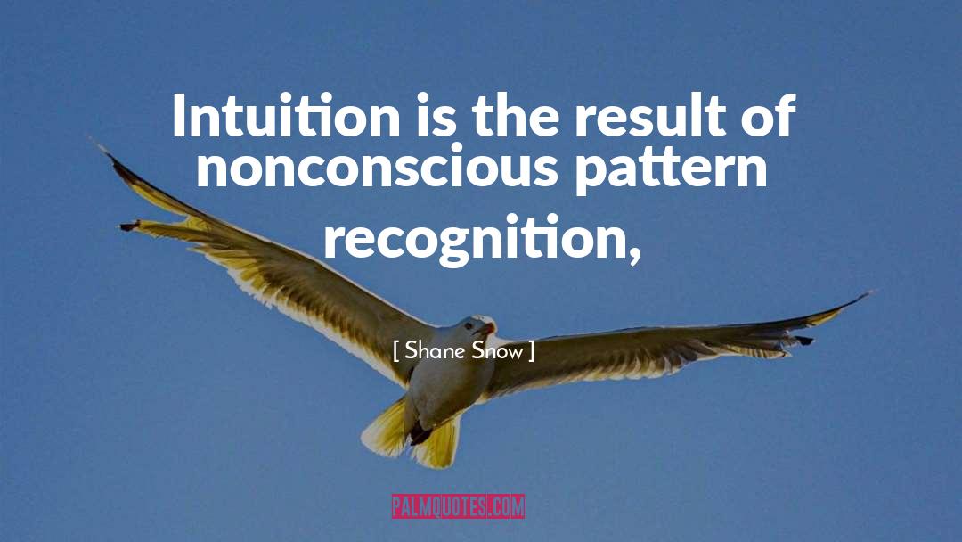 Pattern Recognition quotes by Shane Snow