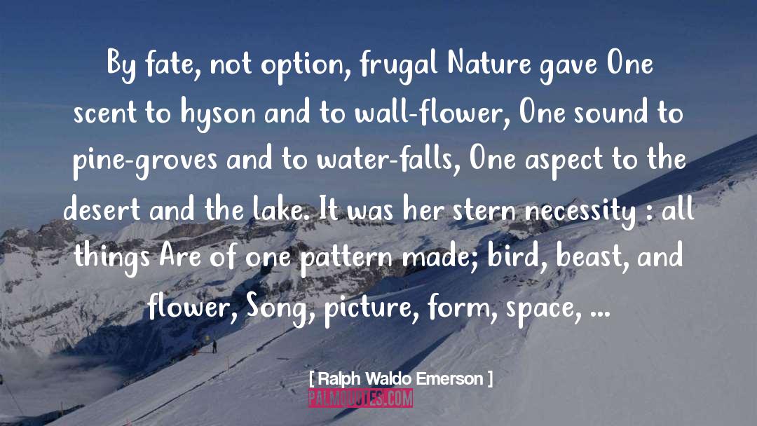 Pattern Sensing quotes by Ralph Waldo Emerson
