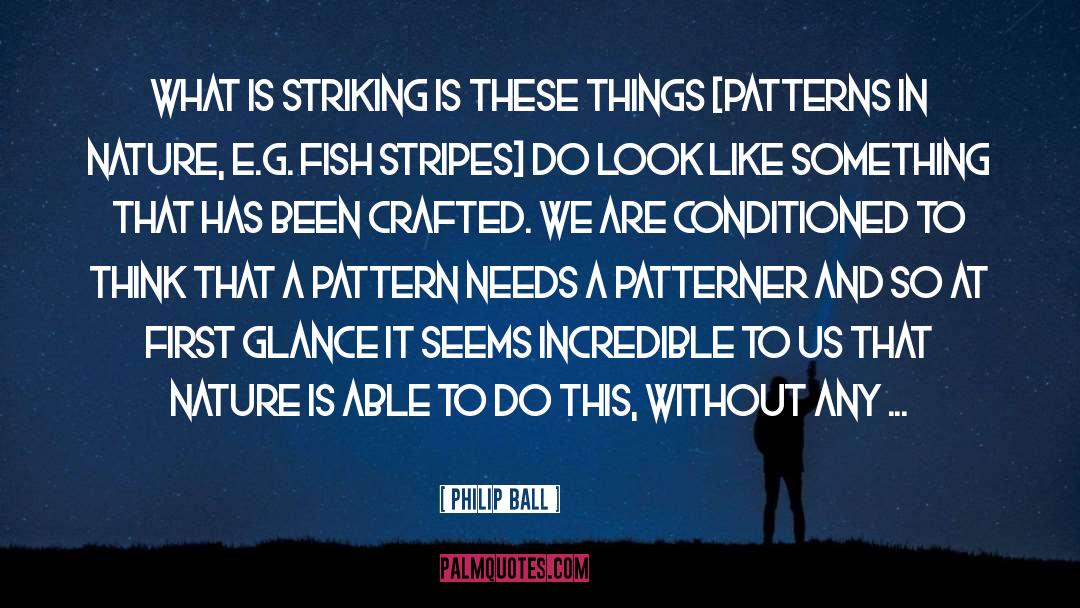 Patterns In Nature quotes by Philip Ball