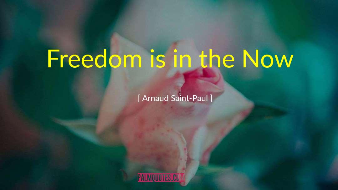 Paul Feyerabend quotes by Arnaud Saint-Paul