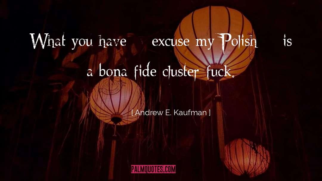Paulides Cluster quotes by Andrew E. Kaufman