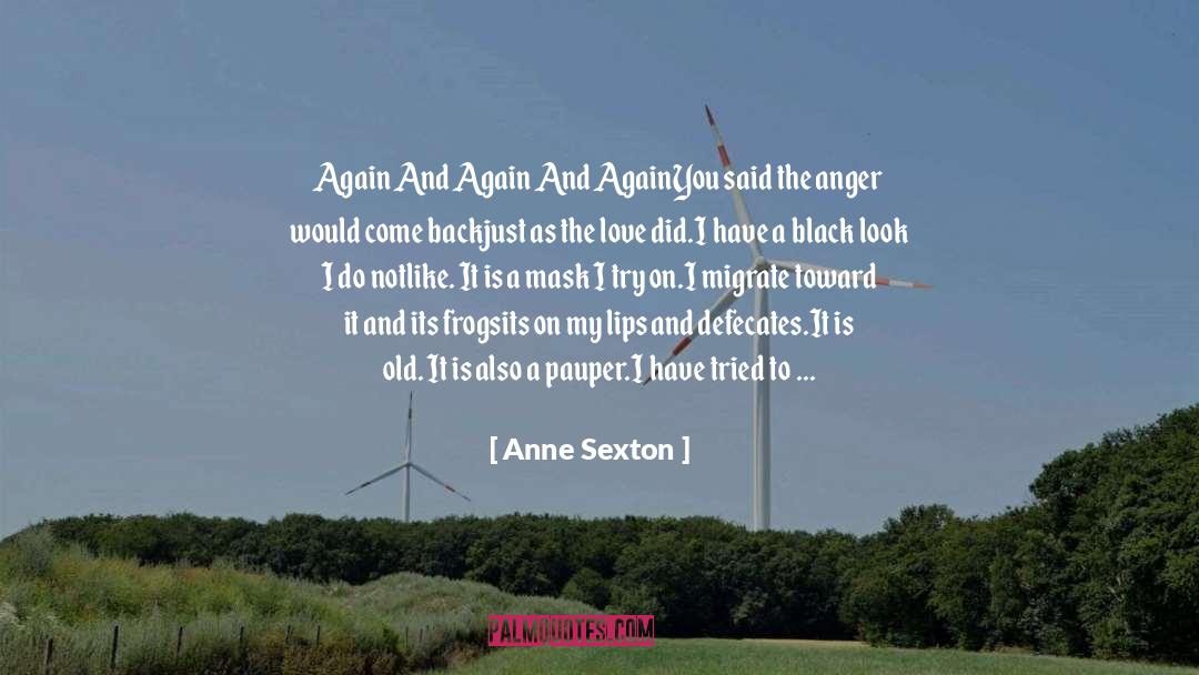 Pauper quotes by Anne Sexton