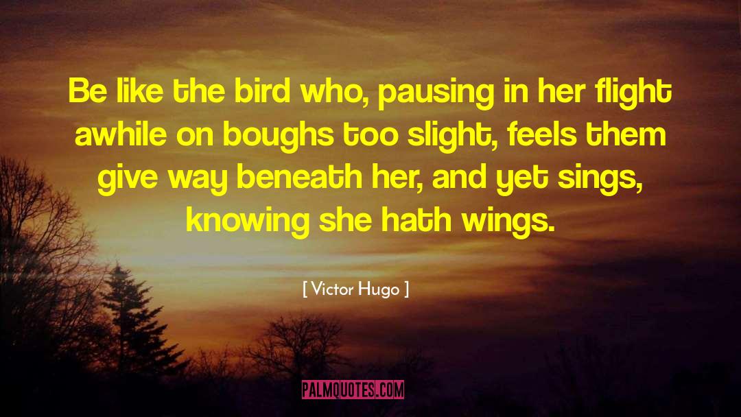 Pausing quotes by Victor Hugo
