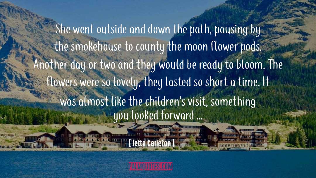 Pausing quotes by Jetta Carleton