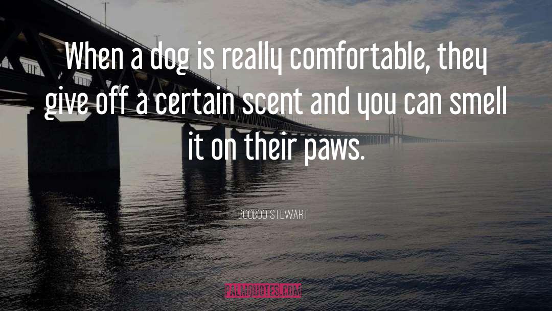 Paws quotes by Booboo Stewart
