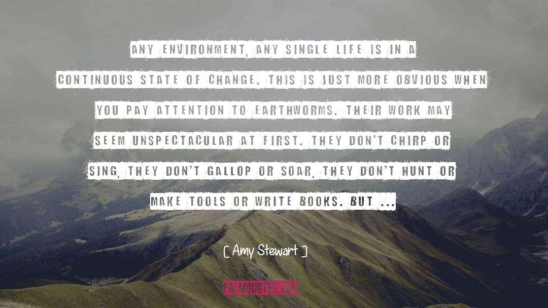 Pay Attention quotes by Amy Stewart