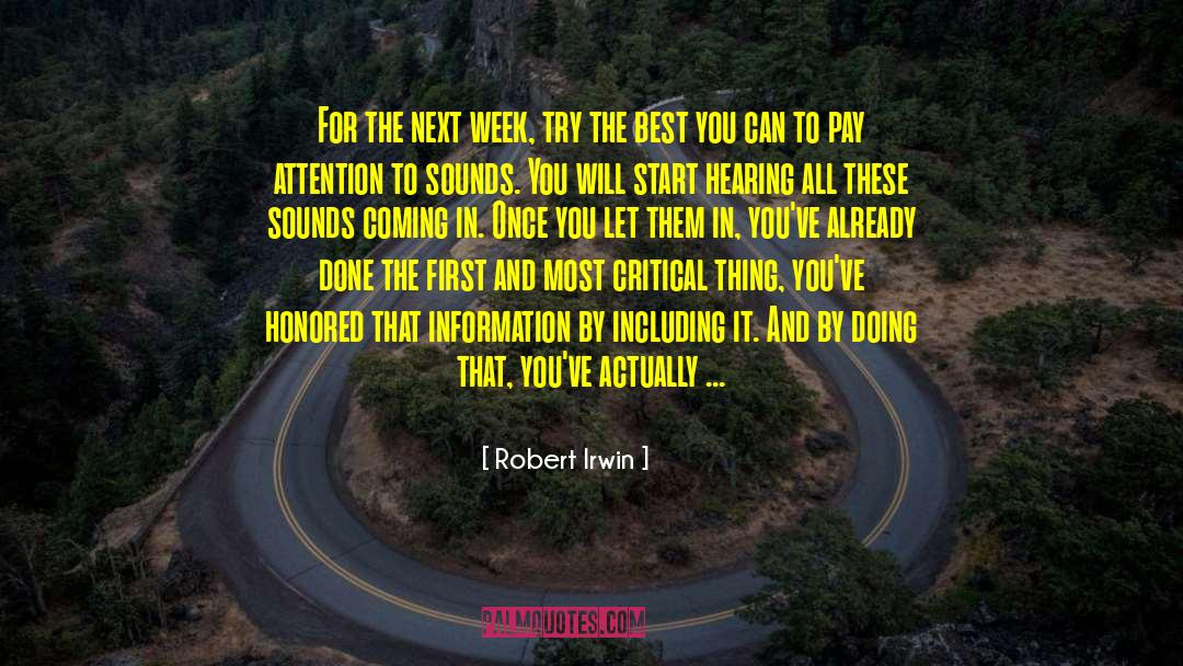 Pay Gap quotes by Robert Irwin