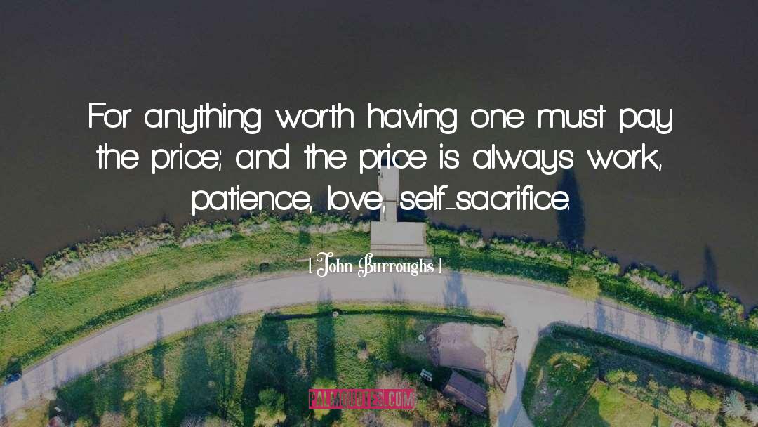 Pay The Price quotes by John Burroughs