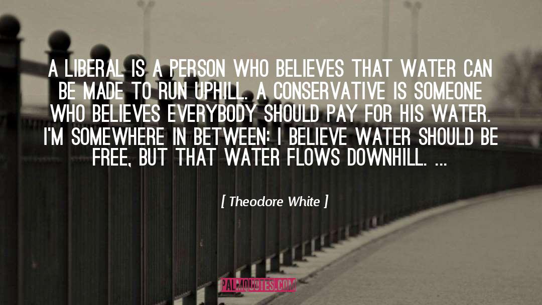 Pay Tools quotes by Theodore White