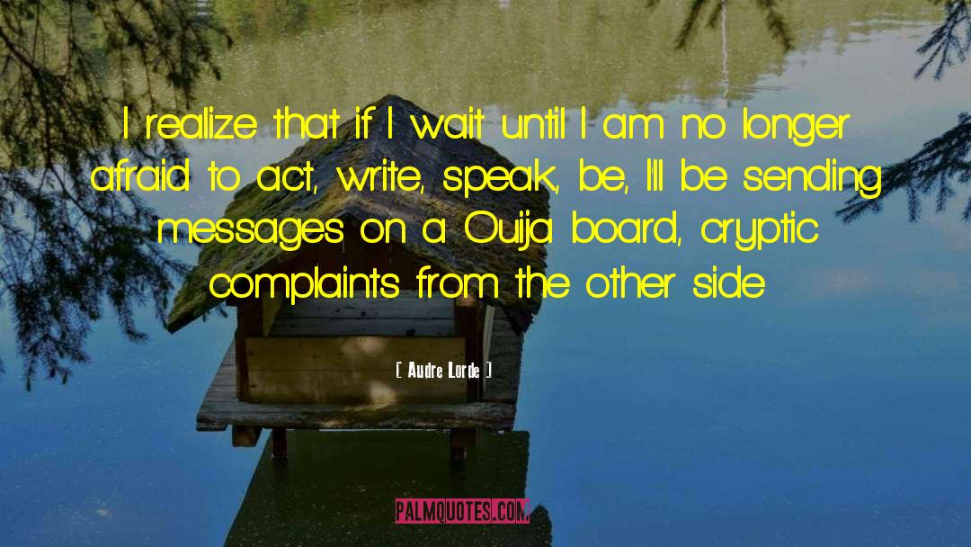Payfirma Complaints quotes by Audre Lorde