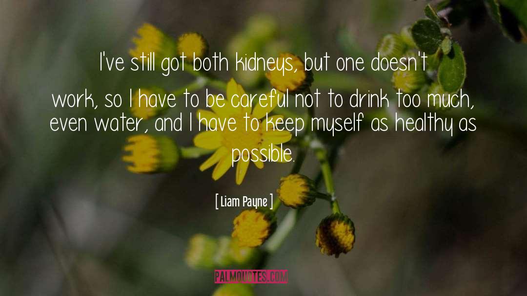 Payne quotes by Liam Payne