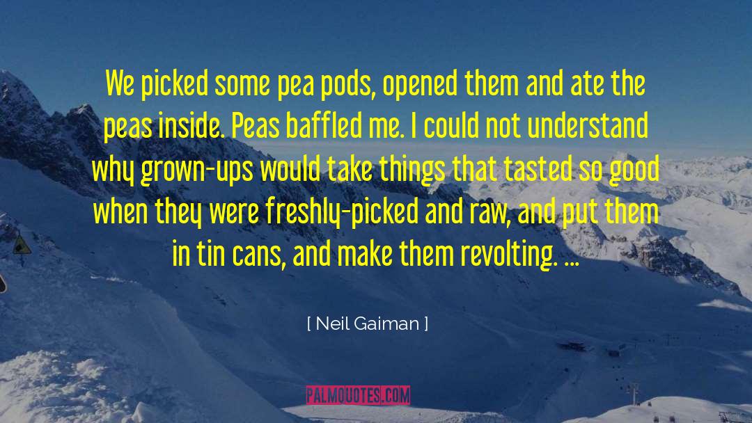 Pea Madness quotes by Neil Gaiman