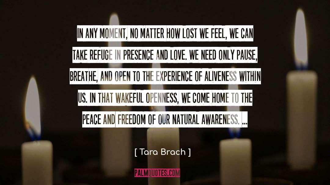 Peace And Freedom quotes by Tara Brach