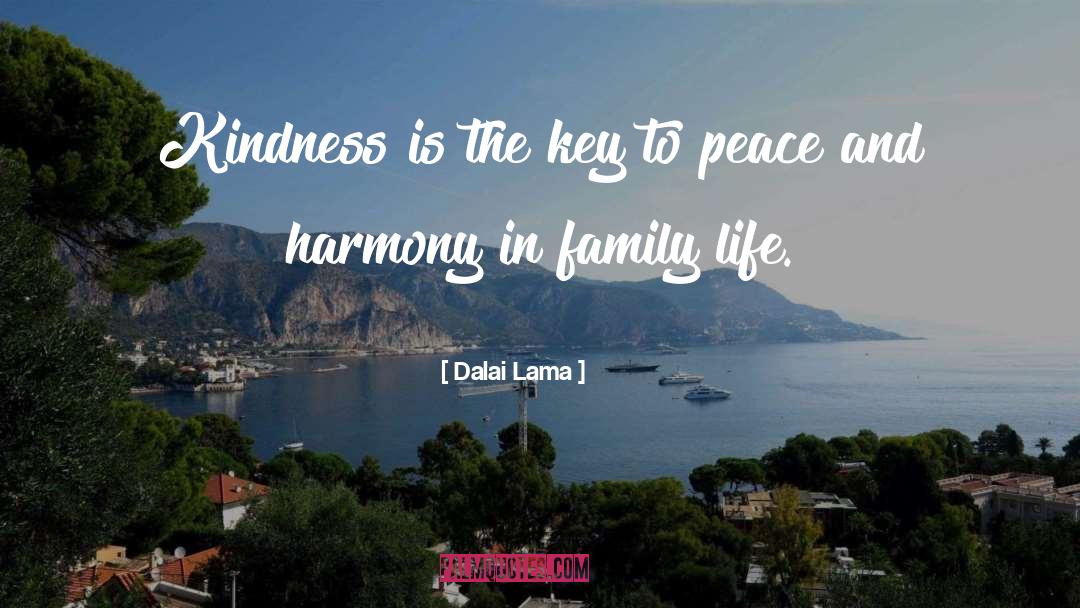 Peace And Harmony quotes by Dalai Lama