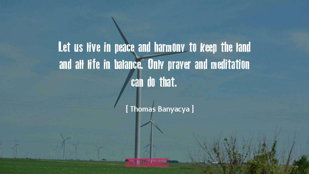 Peace And Harmony quotes by Thomas Banyacya